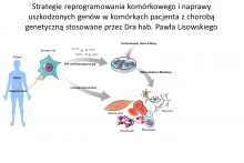 Ilustracja strategii stosowanych przez dr hab. Pawła Lisowskiego