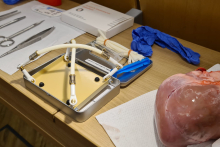 Medical students practice cardiac surgery skills