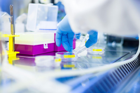 A hand in a blue medical glove holds biomedical research tools