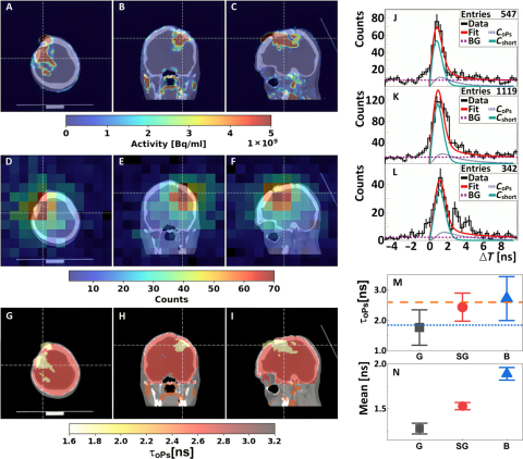 WUM scientists as the co-authors of groundbreaking research in nuclear medicine and particle physics