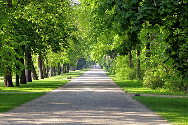 A city full of greenery